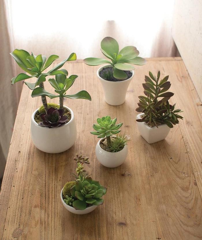 ebros gift Set Of 5 Realistic Artificial Faux Botanica Succulents In Ceramic Mini Pots