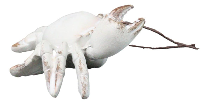 Ebros Gift Set Of 6 Antique White Beach Crabs Ocean Marine Wall Hanger Decor Tree Ornaments