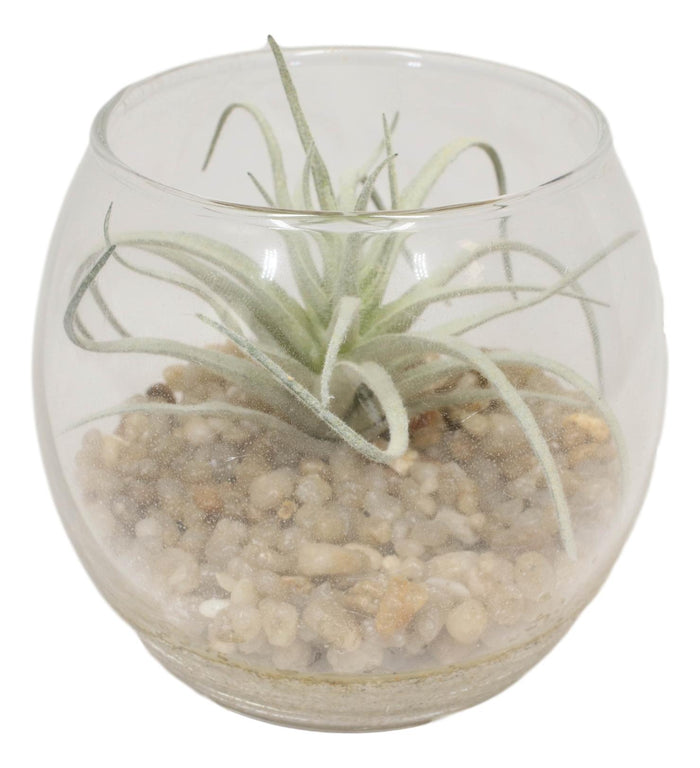 Ebros Gift Set Of 6 Realistic Artificial Botanica Succulents Plants In Round Glass Pots