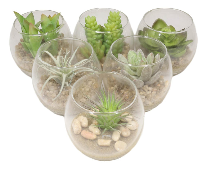Ebros Gift Set Of 6 Realistic Artificial Botanica Succulents Plants In Round Glass Pots