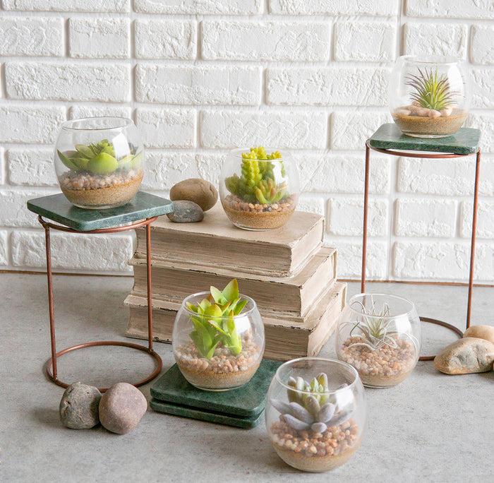 ebros gift Set Of 6 Realistic Artificial Botanica Succulents Plants In Round Glass Pots
