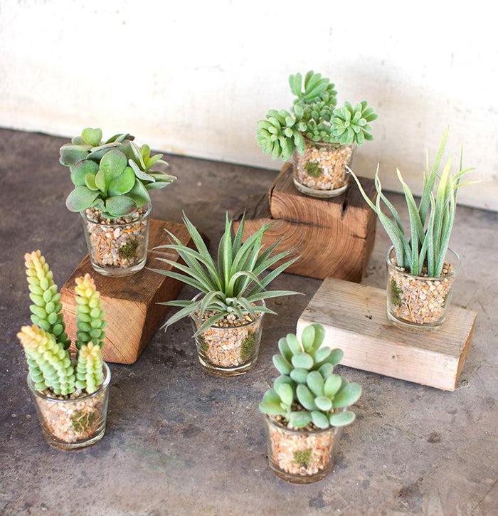 ebros gift Set Of 6 Realistic Lifelike Artificial Faux Botanica Succulents In Glass Pots
