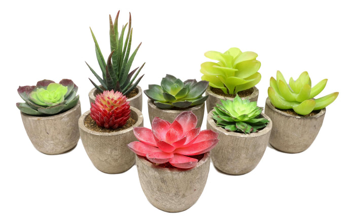 Ebros Gift Set Of 8 Colorful Realistic Artificial Botanica Flowering Succulents In Pots 6"H