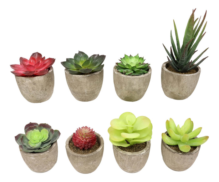 Ebros Gift Set Of 8 Colorful Realistic Artificial Botanica Flowering Succulents In Pots 6"H