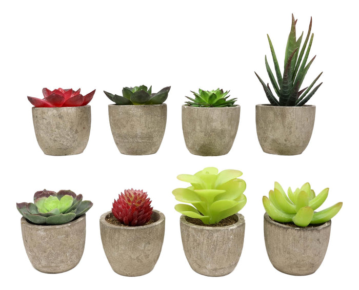 Ebros Gift Set Of 8 Colorful Realistic Artificial Botanica Flowering Succulents In Pots 6"H