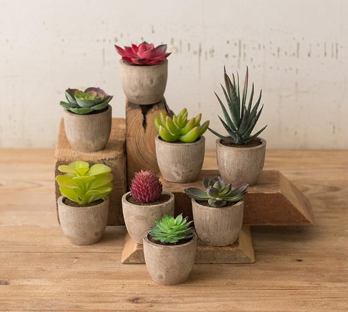 ebros gift Set of 8 Colorful Realistic Artificial Botanica Flowering Succulents In Pots 6"H