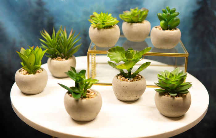 Ebros Gift Set Of 8 Realistic Mini Artificial Botanica Green Succulents In Pots 2.25"H