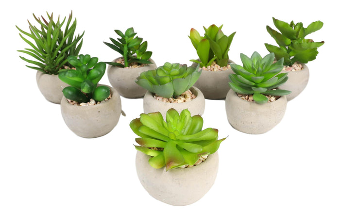 Ebros Gift Set Of 8 Realistic Mini Artificial Botanica Green Succulents In Pots 2.25"H