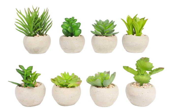 Ebros Gift Set Of 8 Realistic Mini Artificial Botanica Green Succulents In Pots 2.25"H