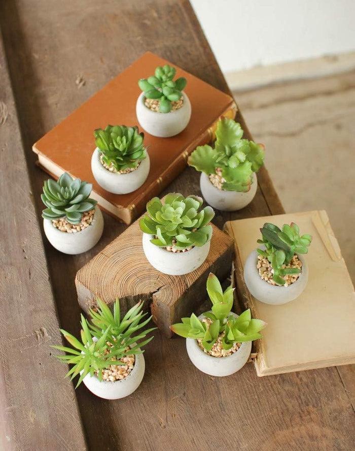 ebros gift Set Of 8 Realistic Mini Artificial Botanica Green Succulents In Pots 2.25"H