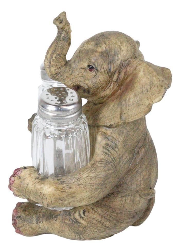 Ebros Gift Sitting African Safari Bush Elephant With Trunk Up Salt Pepper Shakers Holder