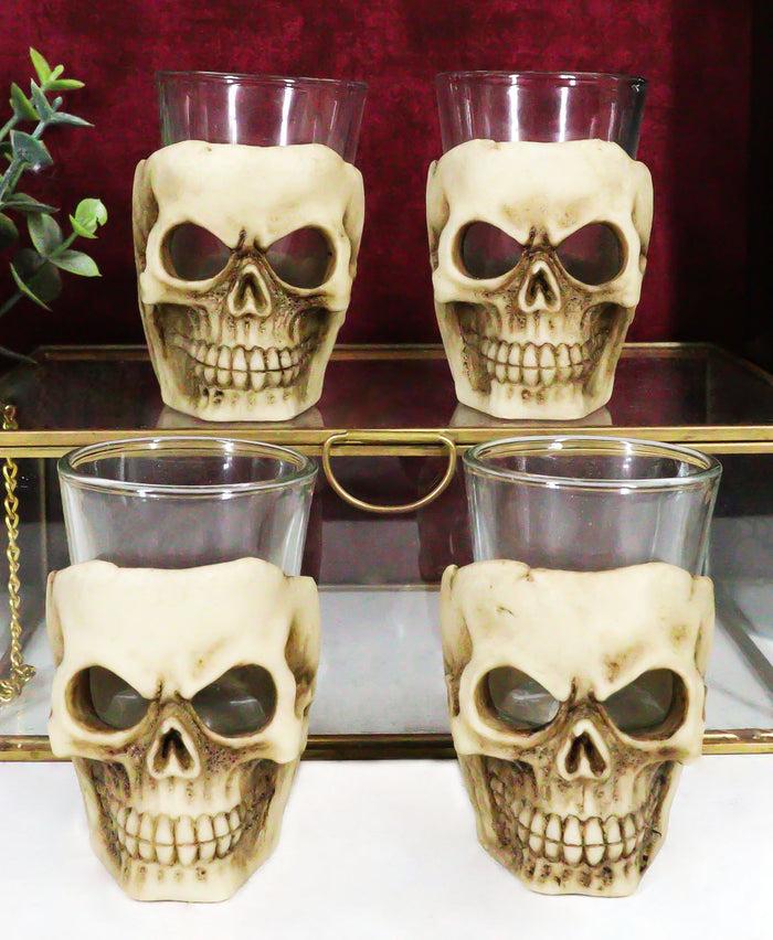 ebros gift Skull Shot Glass Set of 4 Shot Glasses Great for Whiskey Vodka Tequila or Scotch