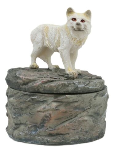 Ebros Gift Small Albino White Wolf Rounded Jewelry Decorative Box Figurine Decor