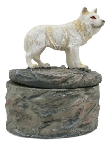 Ebros Gift Small Albino White Wolf Rounded Jewelry Decorative Box Figurine Decor