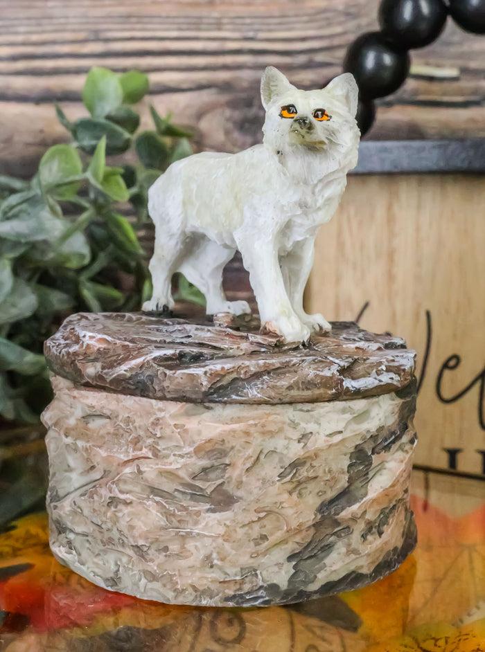 ebros gift Small Albino White Wolf Rounded Jewelry Decorative Box Figurine Decor