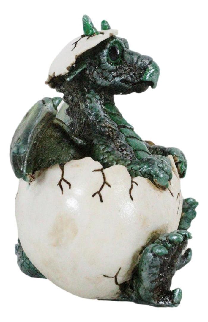 Ebros Gift Small Green Whimsical Dragon Baby Hatchling In Egg Statue Fantasy Dragon Egg