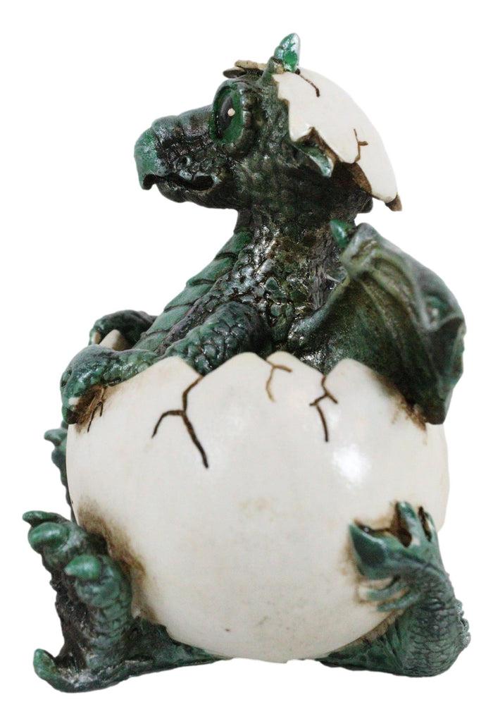 Ebros Gift Small Green Whimsical Dragon Baby Hatchling In Egg Statue Fantasy Dragon Egg