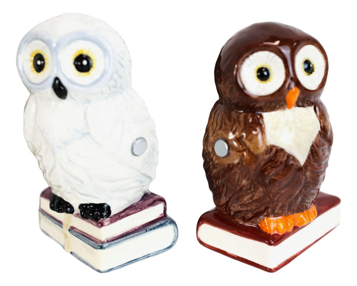 Ebros Gift Snow White And Great Horned Brown Owls On Books Ceramic Salt Pepper Shakers Set