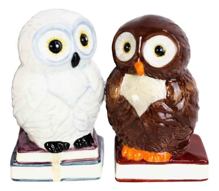 Ebros Gift Snow White And Great Horned Brown Owls On Books Ceramic Salt Pepper Shakers Set