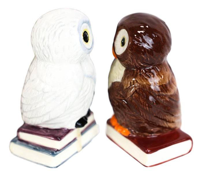 Ebros Gift Snow White And Great Horned Brown Owls On Books Ceramic Salt Pepper Shakers Set