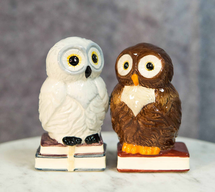 ebros gift Snow White And Great Horned Brown Owls On Books Ceramic Salt Pepper Shakers Set
