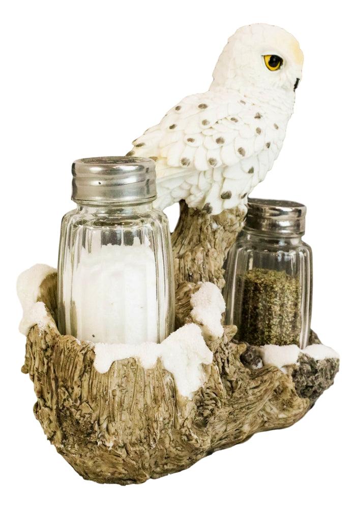 Ebros Gift Snow White Owlet Owl On Snowy Branch Glass Salt Pepper Shakers Holder Figurine