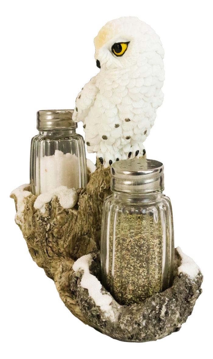 Ebros Gift Snow White Owlet Owl On Snowy Branch Glass Salt Pepper Shakers Holder Figurine