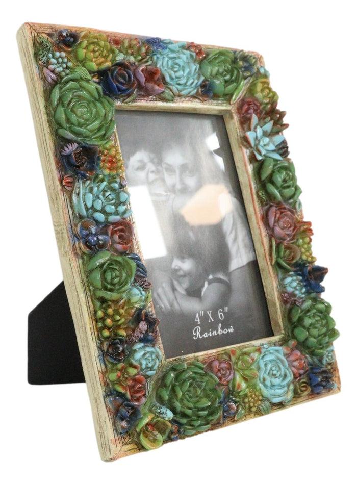 Ebros Gift Southwestern 3D Colorful Cactus Succulent Flowers Western Picture Frame 4"X6"