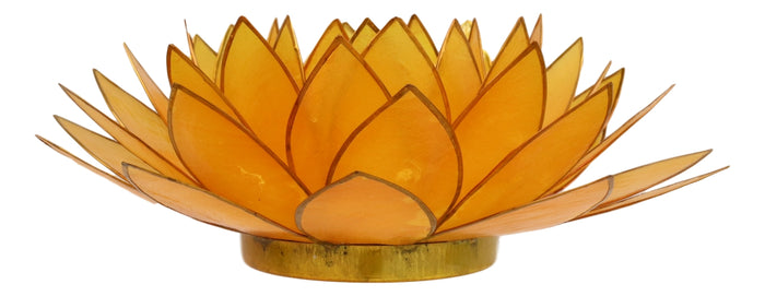 Ebros Gift Tangerine Capiz Seashells Lotus Flower Votive Tea Light Candle Holder 8.5"D