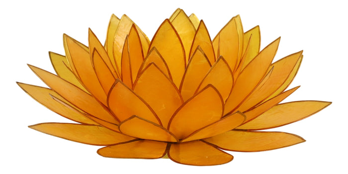 Ebros Gift Tangerine Capiz Seashells Lotus Flower Votive Tea Light Candle Holder 8.5"D