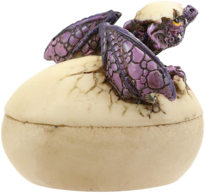 Ebros Gift Twilight Dragon Hatchling Breaking Out Of Egg Shell Figurine Jewelry Box Decor