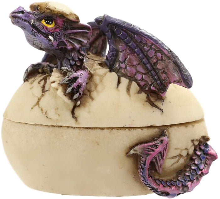 Ebros Gift Twilight Dragon Hatchling Breaking Out Of Egg Shell Figurine Jewelry Box Decor