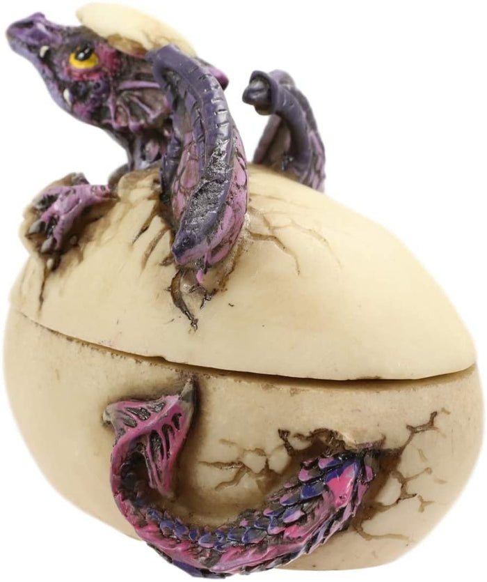 Ebros Gift Twilight Dragon Hatchling Breaking Out Of Egg Shell Figurine Jewelry Box Decor