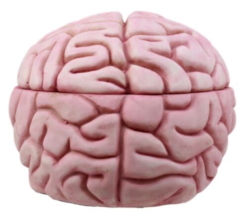 Ebros Gift Walking Dead Zombie Brain Jewelry Box Decorative Figurine Zombie Brains Bait Box