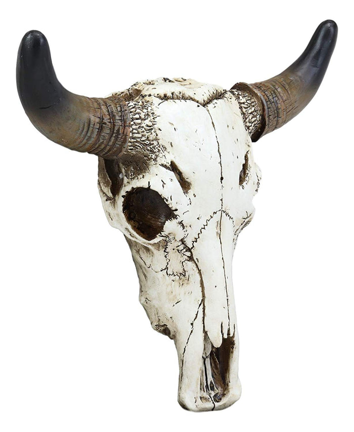 Ebros Gift Western Aged White Steer Bison Buffalo Bull Cow Horned Skull Head Wall Decor