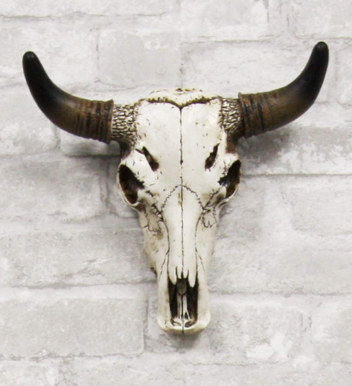 ebros gift Western Aged White Steer Bison Buffalo Bull Cow Horned Skull Head Wall Decor
