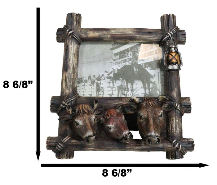 Ebros Gift Western Country Rustic Farm Cattle Cow Bulls Barnwood Lantern Picture Frame 6x4