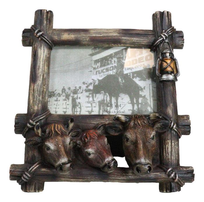 ebros gift Western Country Rustic Farm Cattle Cow Bulls Barnwood Lantern Picture Frame 6x4
