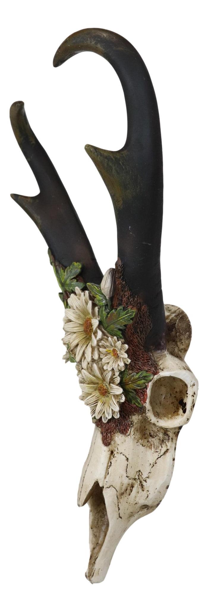 Ebros Gift Western Rustic Pronghorn Antelope Skull With Antlers Feverfew Flowers Wall Decor