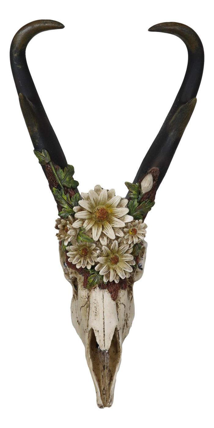 Ebros Gift Western Rustic Pronghorn Antelope Skull With Antlers Feverfew Flowers Wall Decor