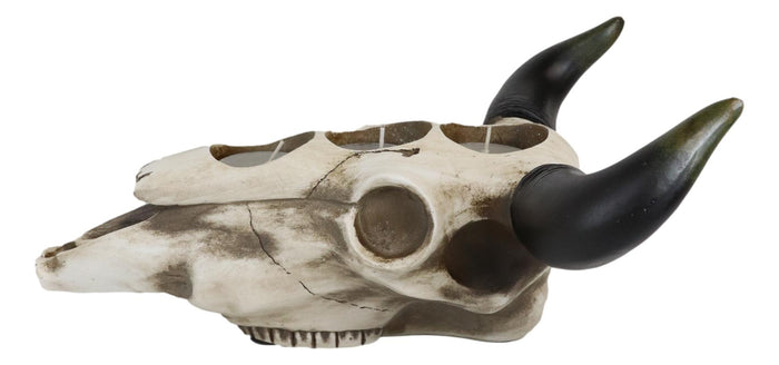 Ebros Gift Western Steer Bull Cow Skull Decorative 3 Tea Light Votives Candle Holder Decor