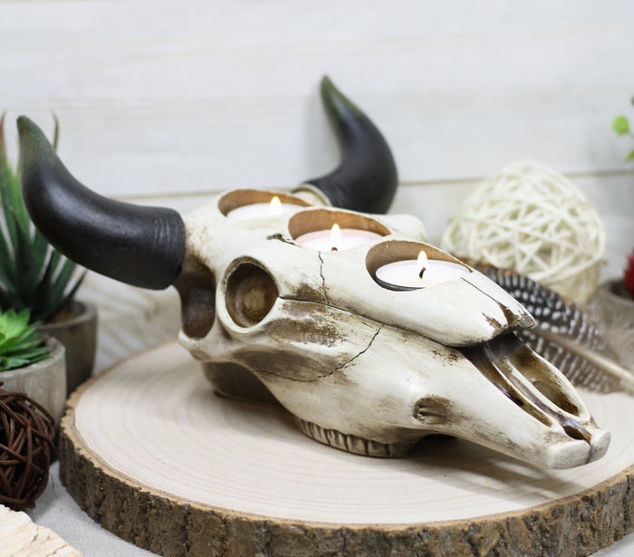 ebros gift Western Steer Bull Cow Skull Decorative 3 Tea Light Votives Candle Holder Decor