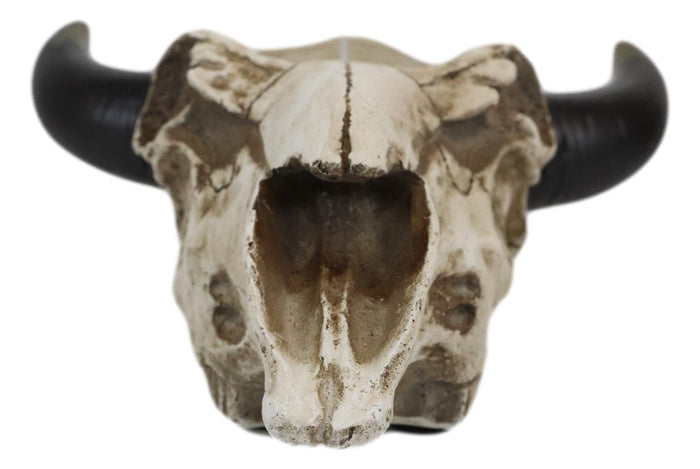 Ebros Gift Western Steer Cow Skull Decorative Tea Light Votive Candle Holder Figurine
