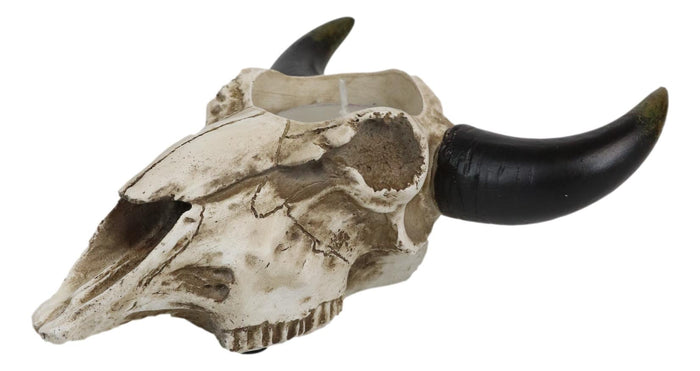 Ebros Gift Western Steer Cow Skull Decorative Tea Light Votive Candle Holder Figurine
