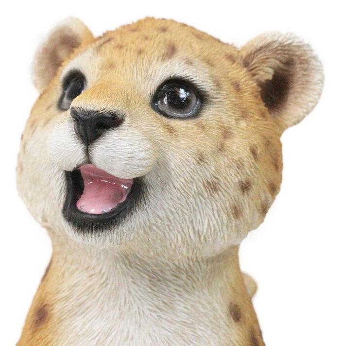 Ebros Gift Whimsical Animal Kingdom Leopard Cub Seated With Big Smile Figurine