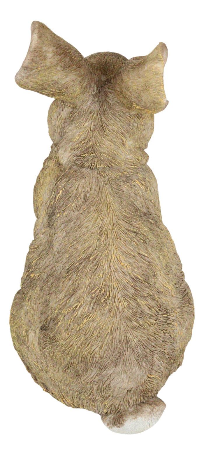 Ebros Gift Whimsical Curious Mother Bunny Rabbit Standing Pet Pal Fairy Garden Figurine