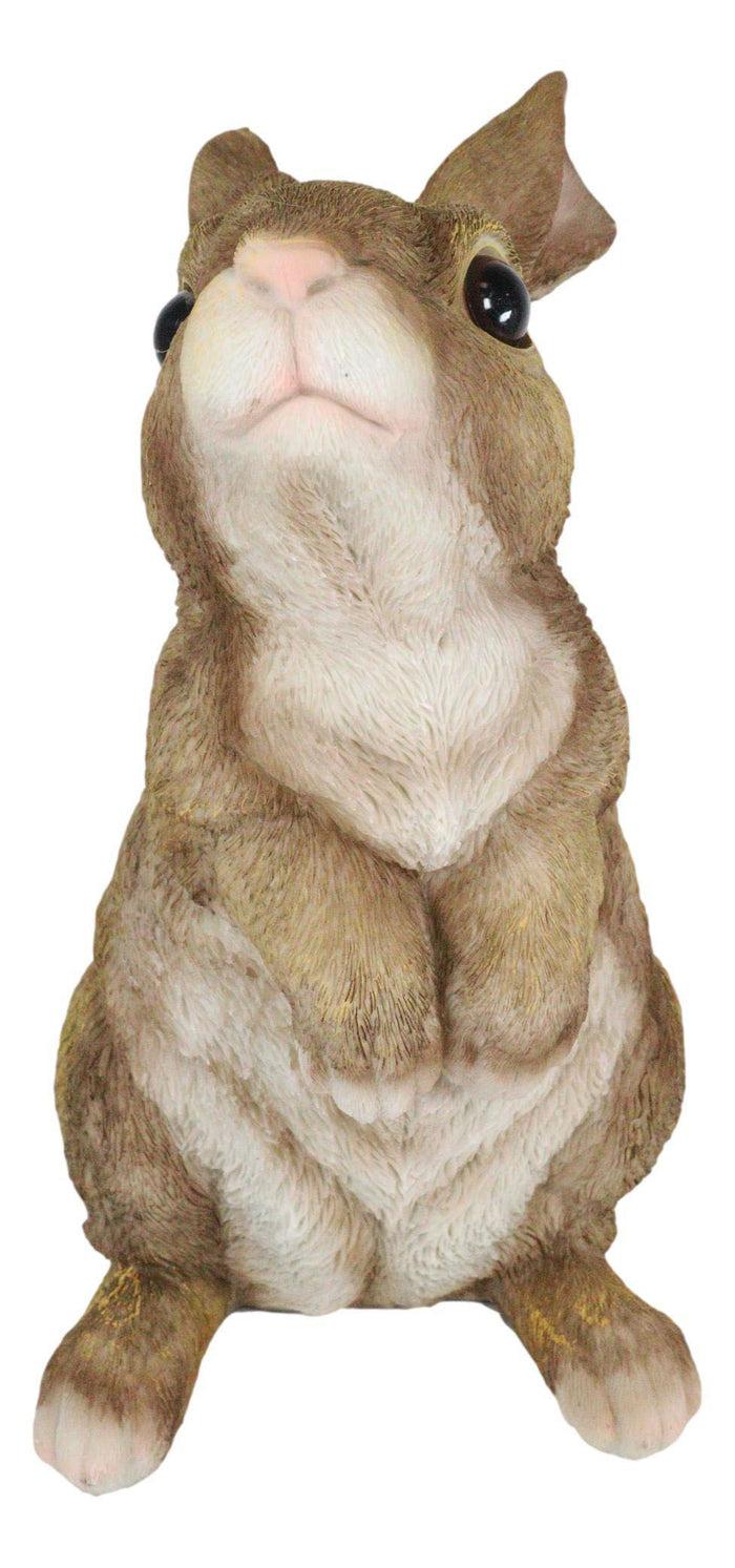 Ebros Gift Whimsical Curious Mother Bunny Rabbit Standing Pet Pal Fairy Garden Figurine