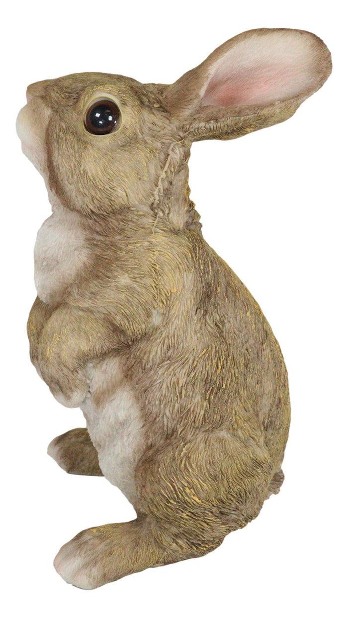 Ebros Gift Whimsical Curious Mother Bunny Rabbit Standing Pet Pal Fairy Garden Figurine