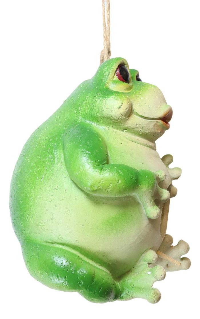 Ebros Gift Whimsical Jumbo Fat Frog Toad Birdhouse Bird Feeder House Branch Hanger Figurine