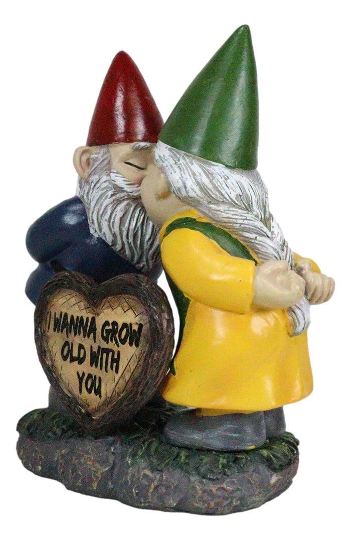 Ebros Gift Whimsical Mr Mrs Gnome Kissing By Heart Sign I Wanna Grow Old With You Figurine